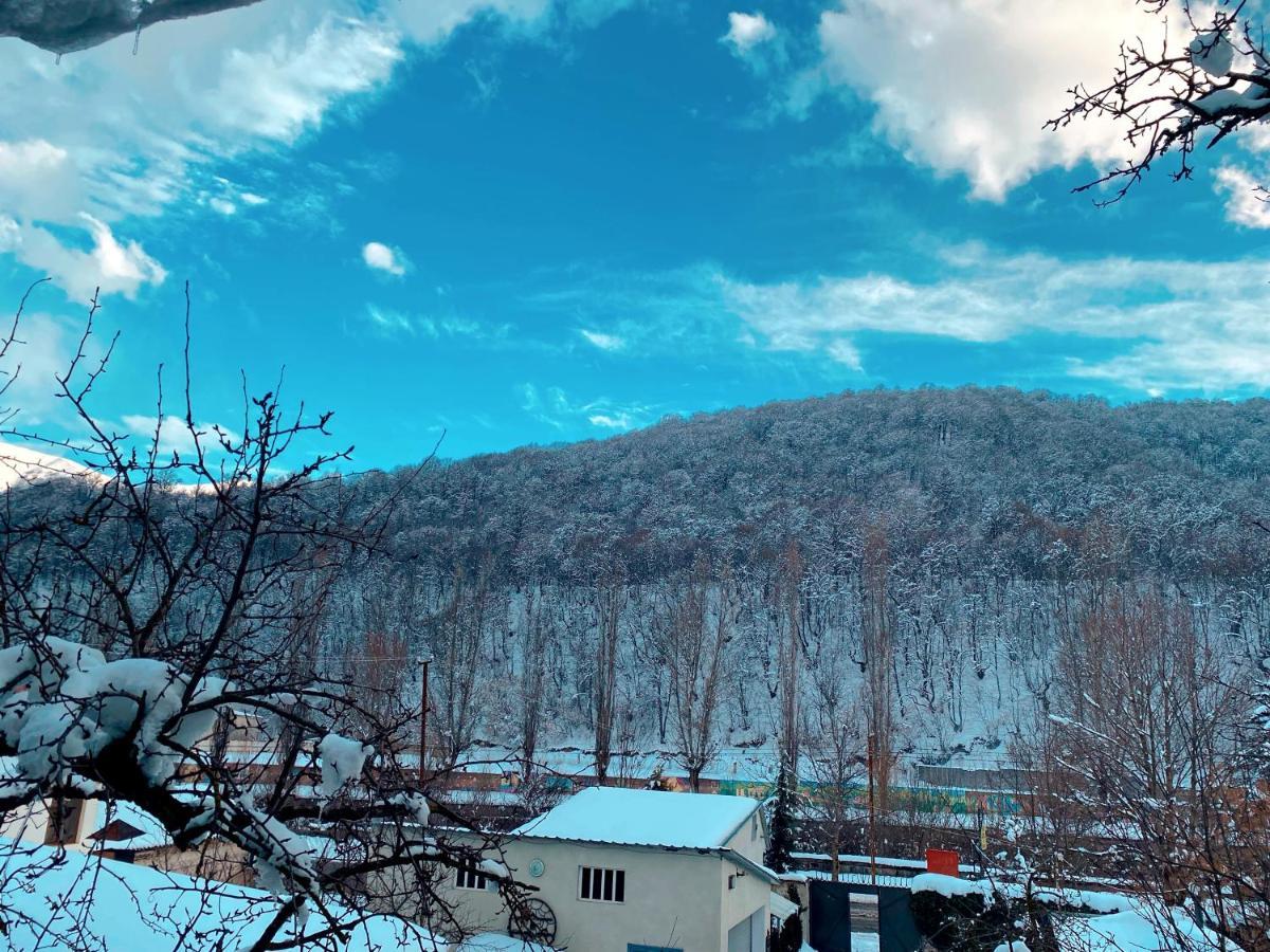 Green Garden B&B Dilijan Luaran gambar
