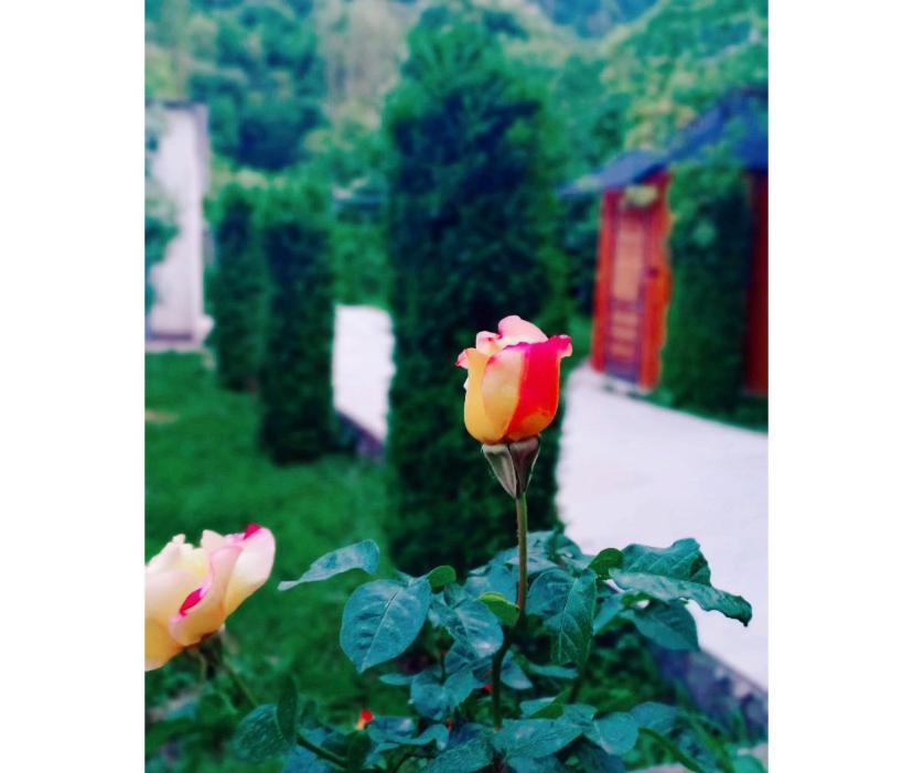 Green Garden B&B Dilijan Luaran gambar